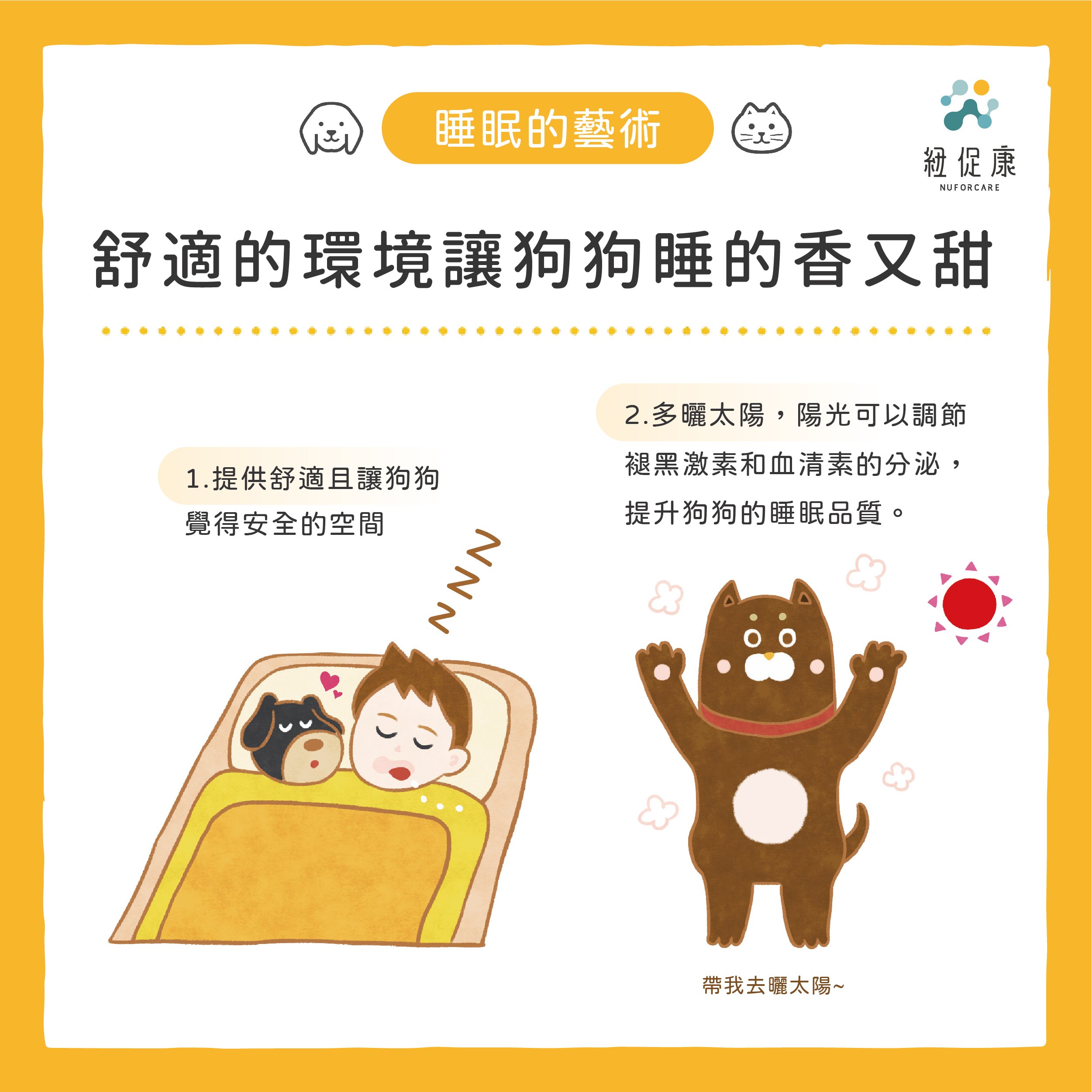 2022-05-04睡眠的藝術-像狗一樣累-04.jpg