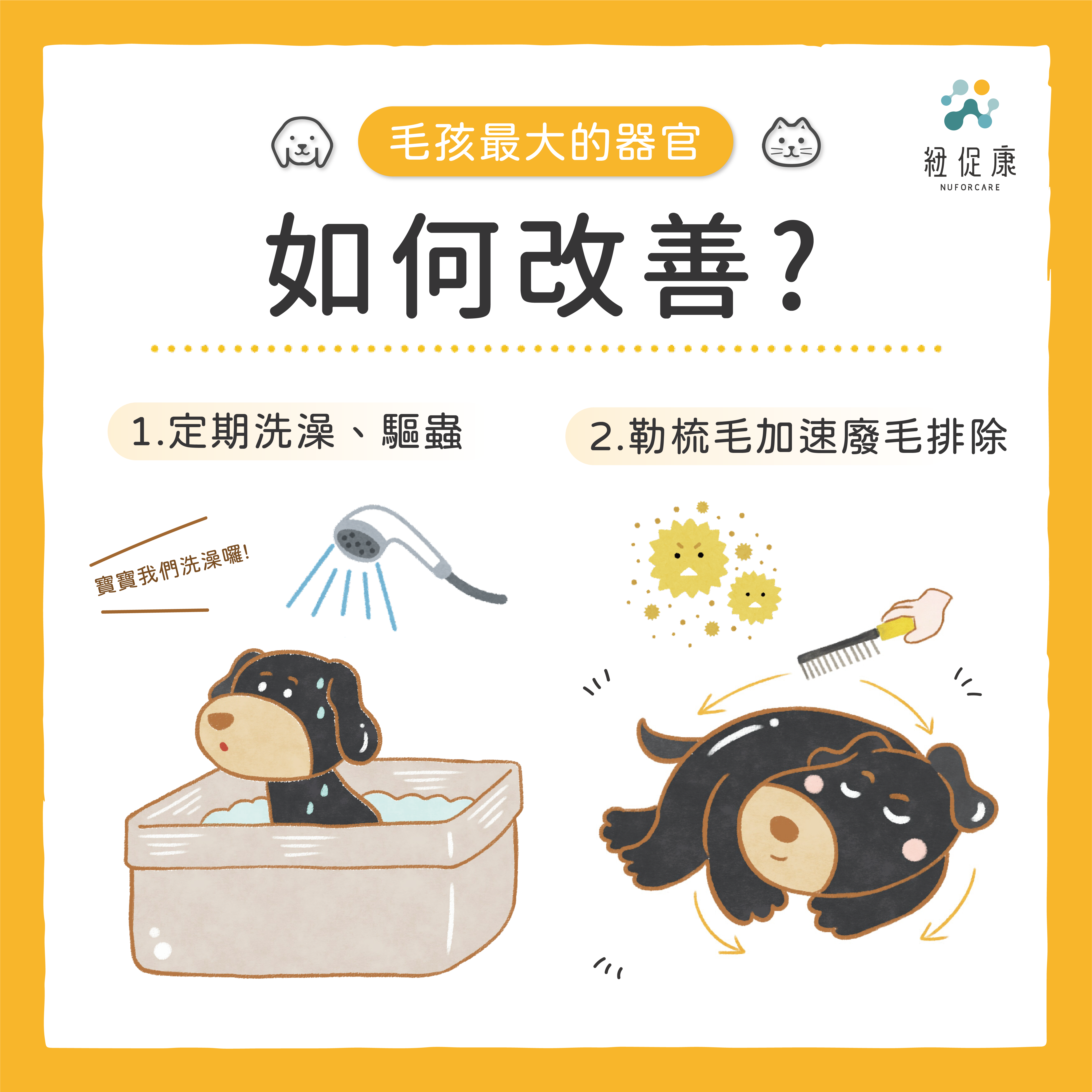 2022-06-22---毛孩最大的器官-毛對人類的影響-02.png