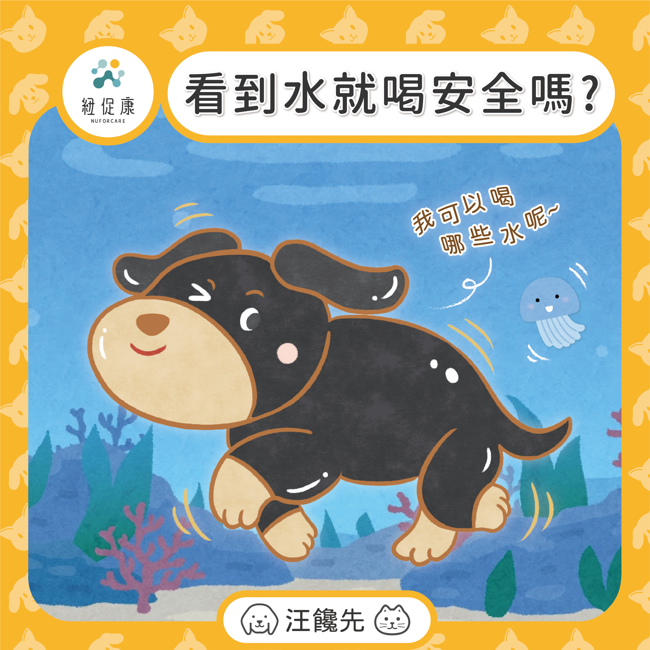 汪饞先-看到水就喝安全嗎-05.png